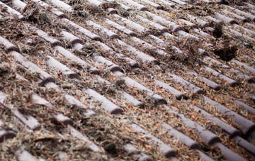 Llanbedr roof cleaning companies