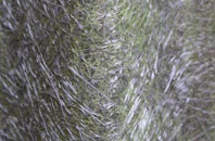 Llanbedr fibreglass roof work